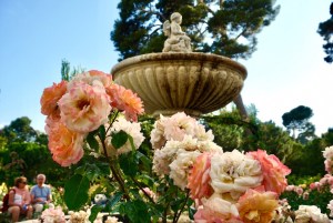 ba12cd29-ff5b-4a80-b4e7-f73b372c4568